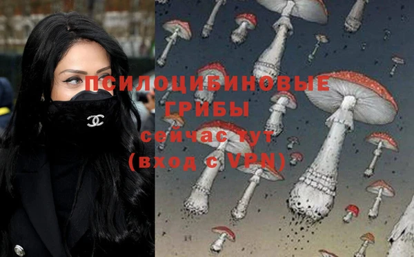 синтетический гашиш Арсеньев
