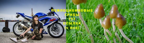 круглые Аркадак
