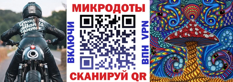 Галлюциногенные грибы Psilocybe  МЕГА ссылка  Армянск 